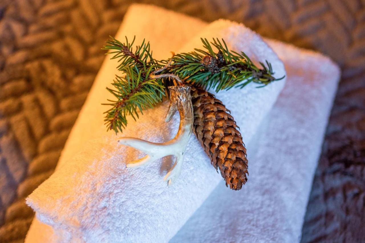 Domki Widokowe Wooden Luxury Chalet & Jacuzzi 자브 외부 사진